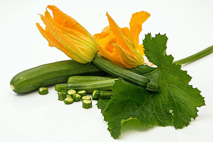 zucchine-romanesche